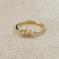 Ines ring