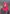 Cashmere balaclava, hot pink