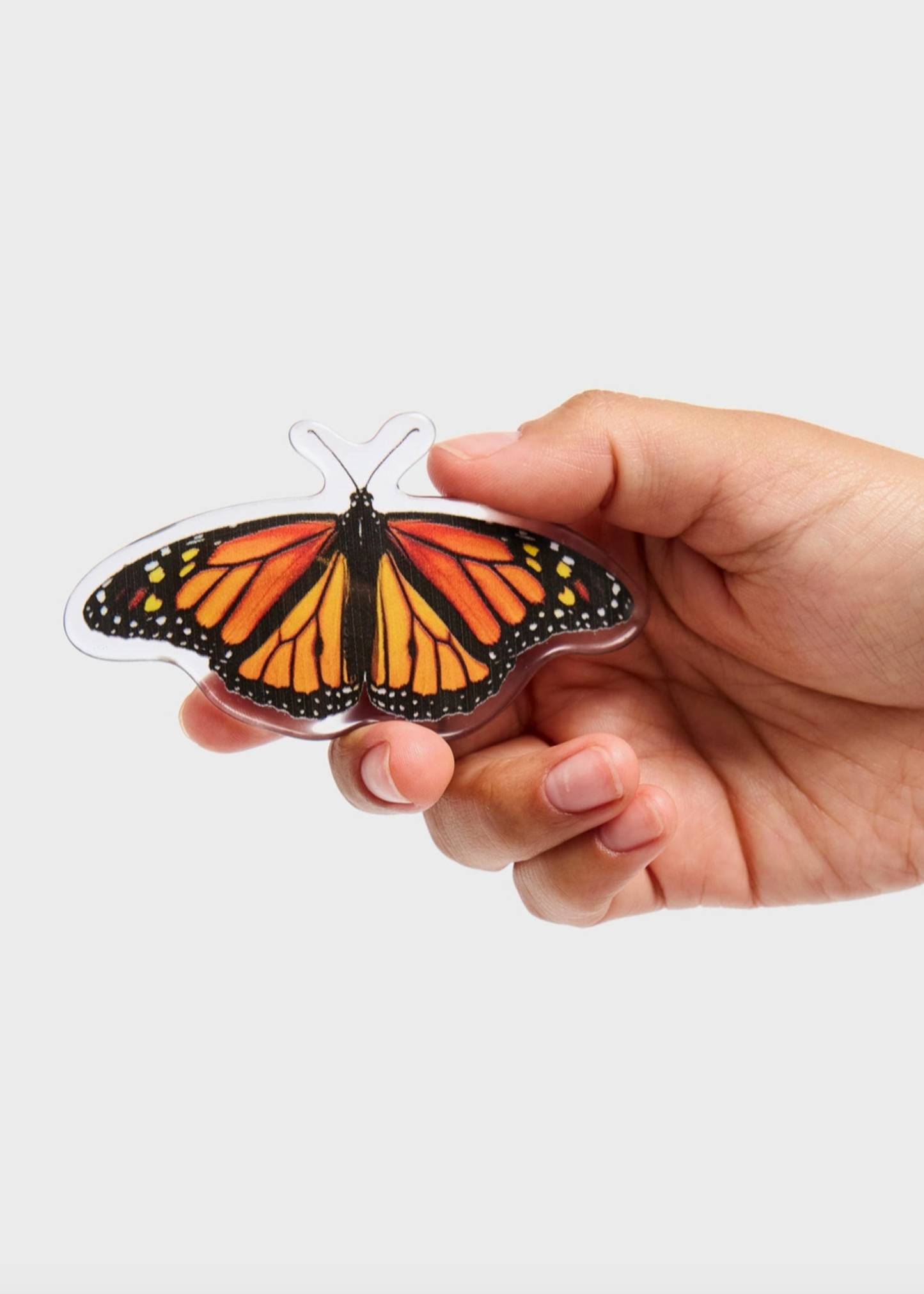 Barrette, monarch butterfly