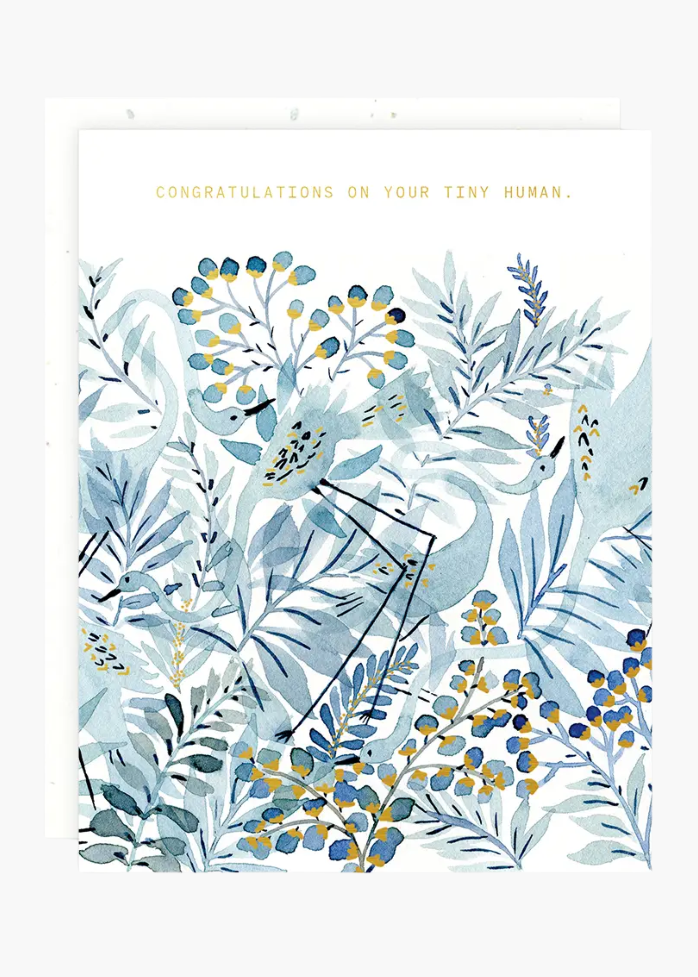 Bluebirds card