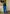 Workpant, cobalt
