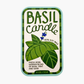 Basil candle