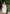 Isla linen dress