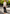 Cashmere straight fit pants, black