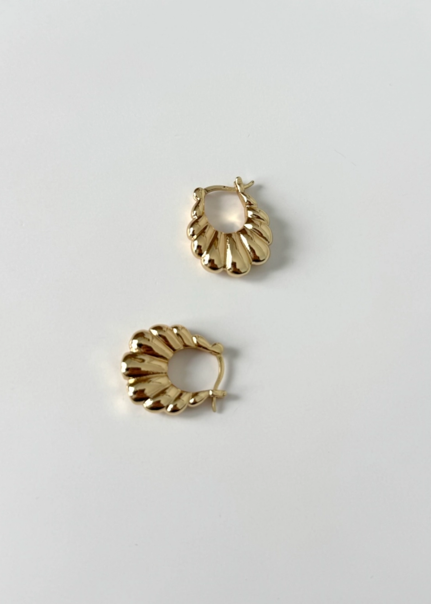 Little scallop hoops