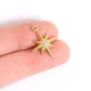Compass star charm