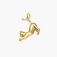 Cat charm