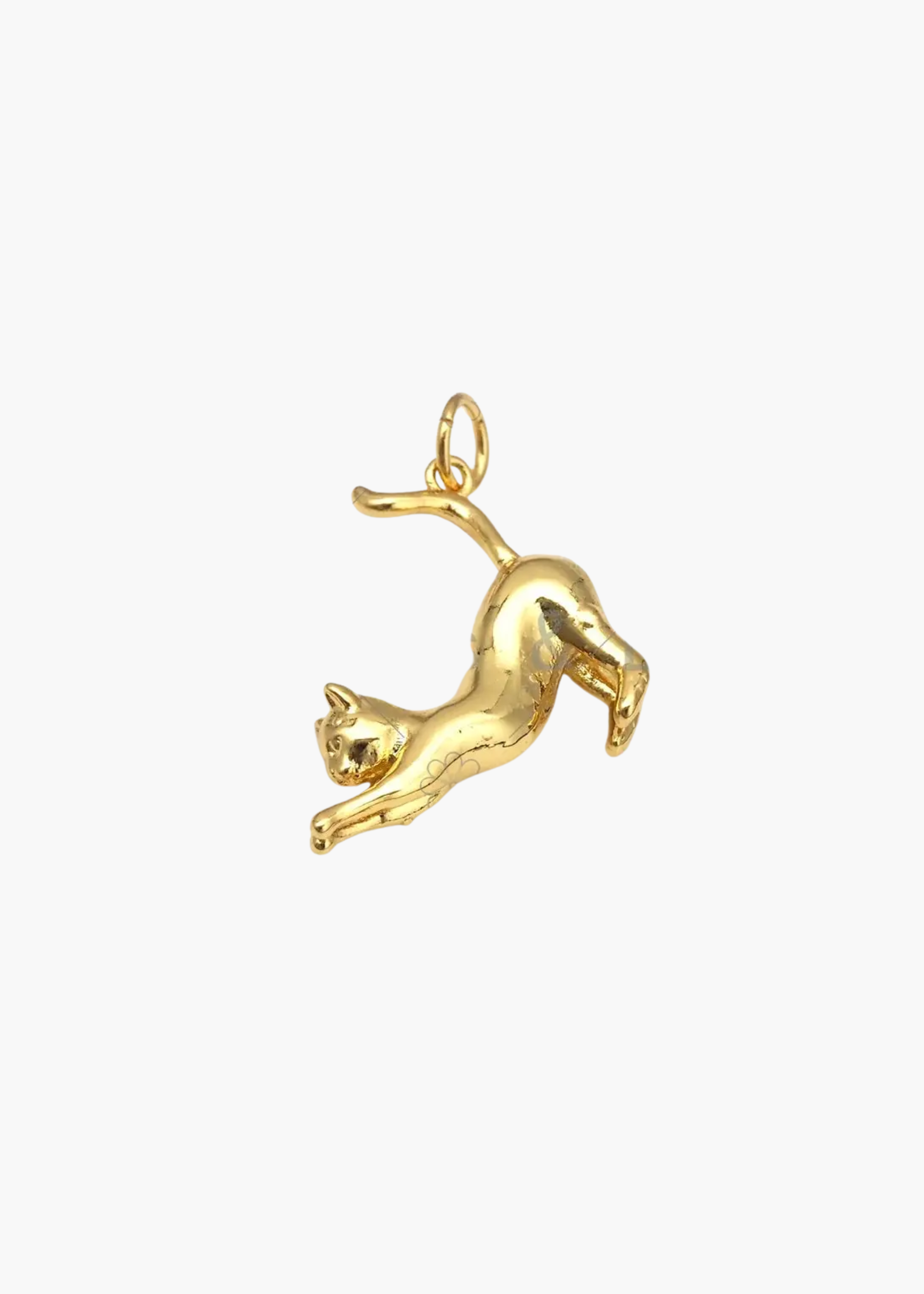 Cat charm