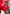 Quilt bow pullover, red