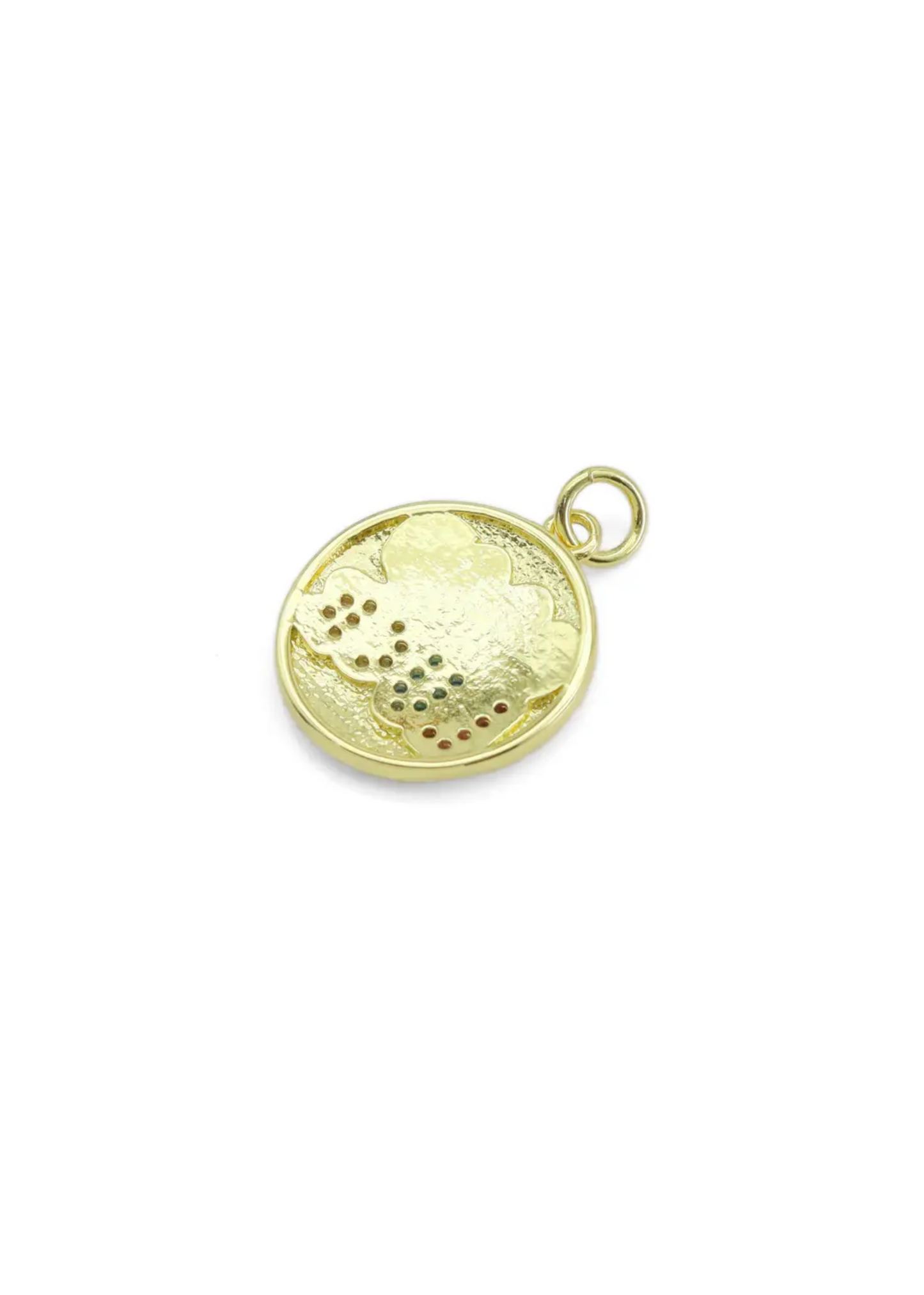 Good luck coin charm