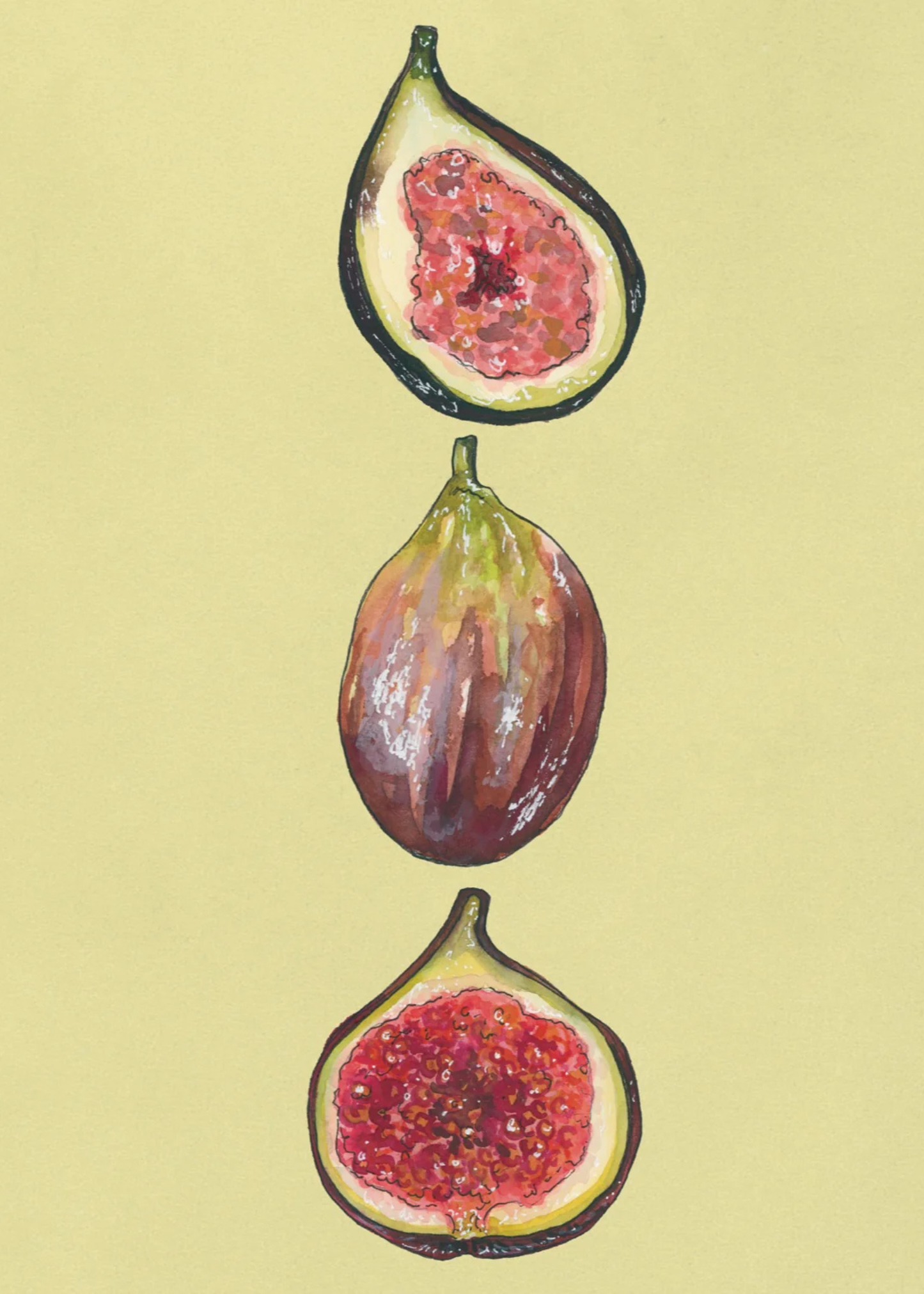 Figs art print