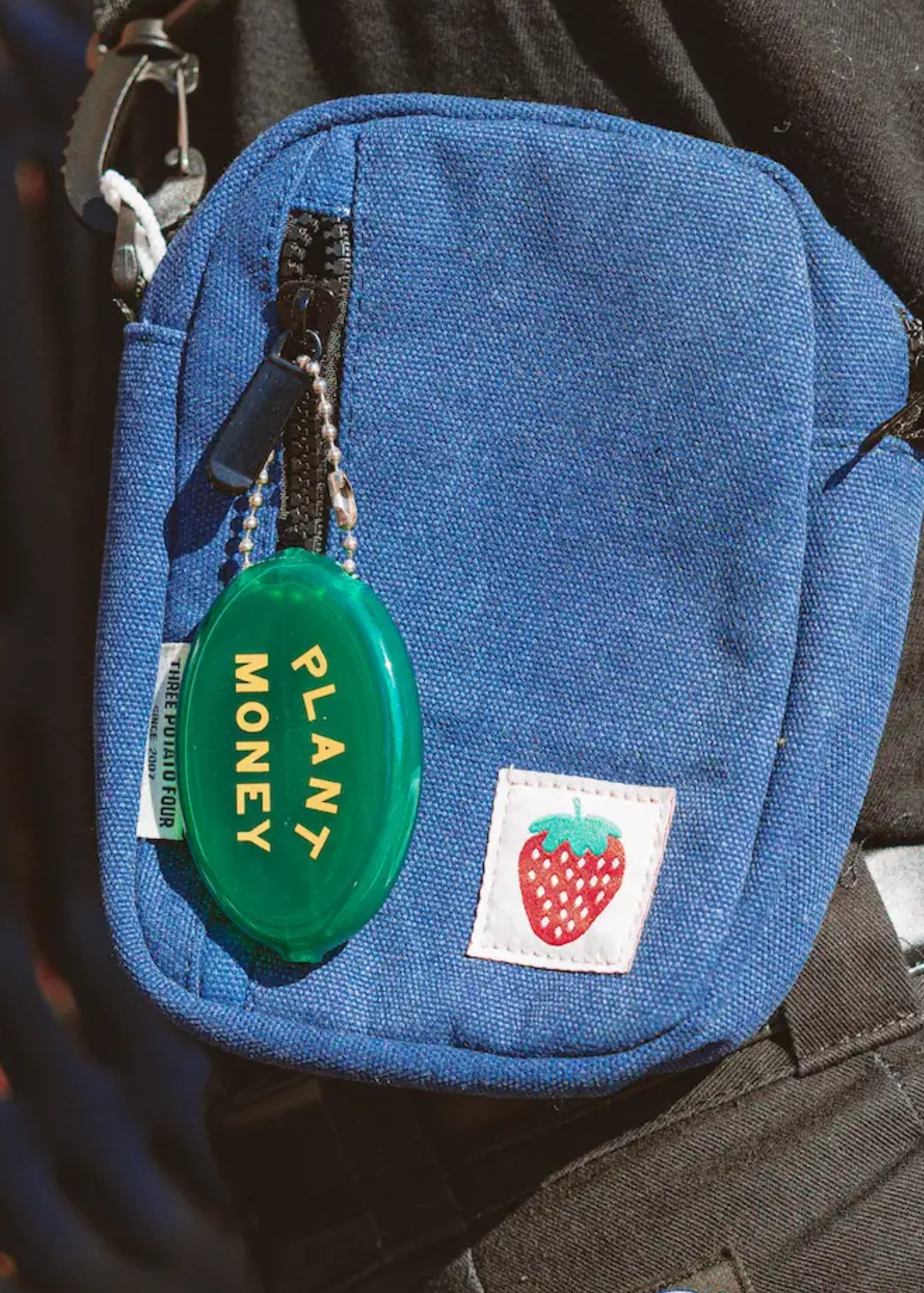 Coin pouch, plant money