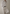 Button down shirt, white poplin/museo