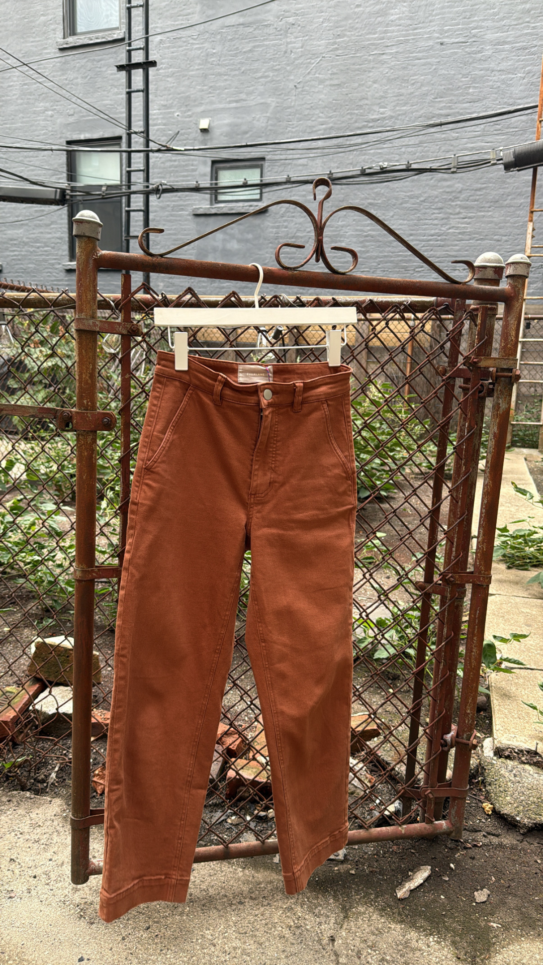 Everlane pants, rust