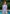 Agnescras swimsuit, pinstripe blue