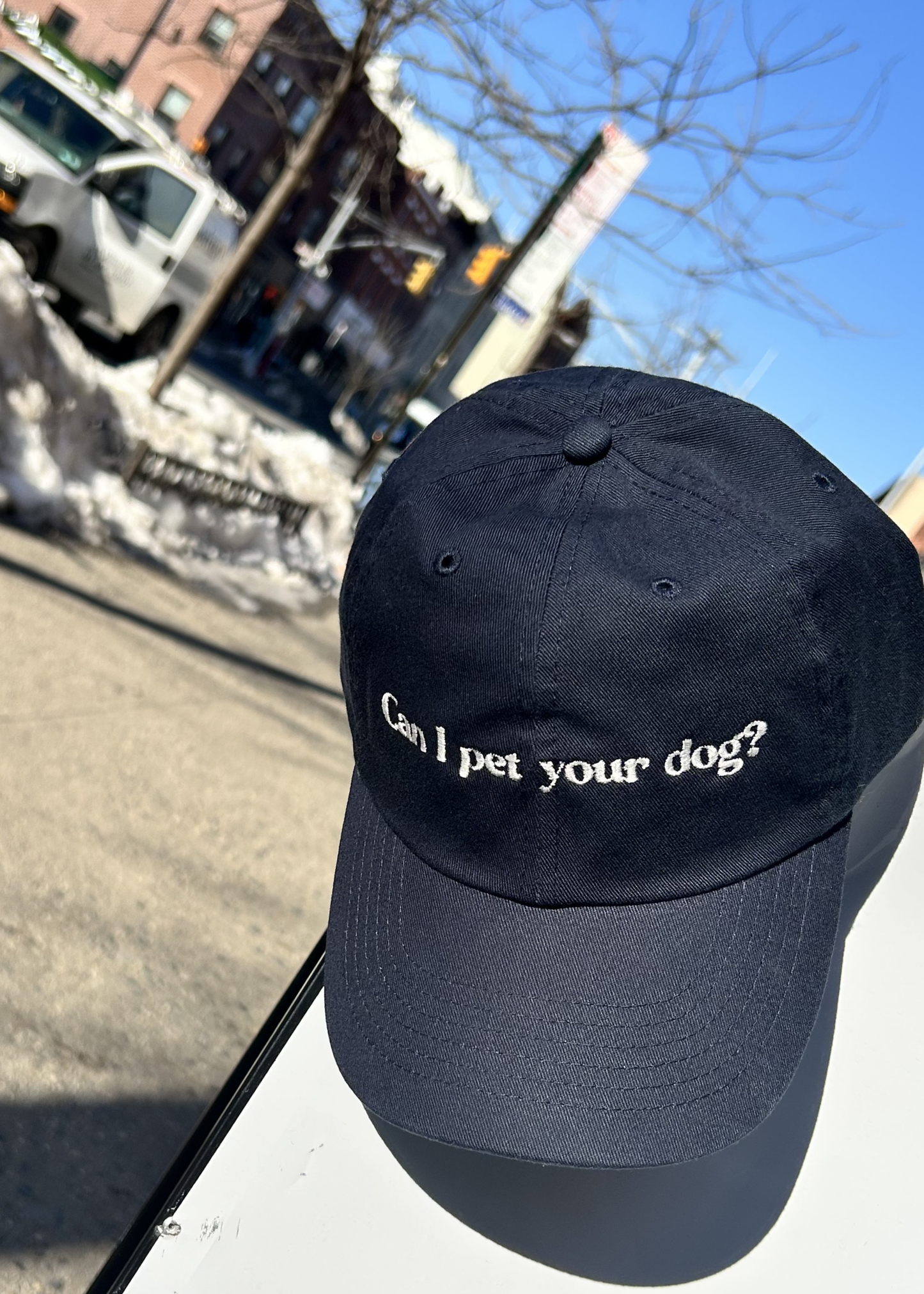 Can I pet your dog hat