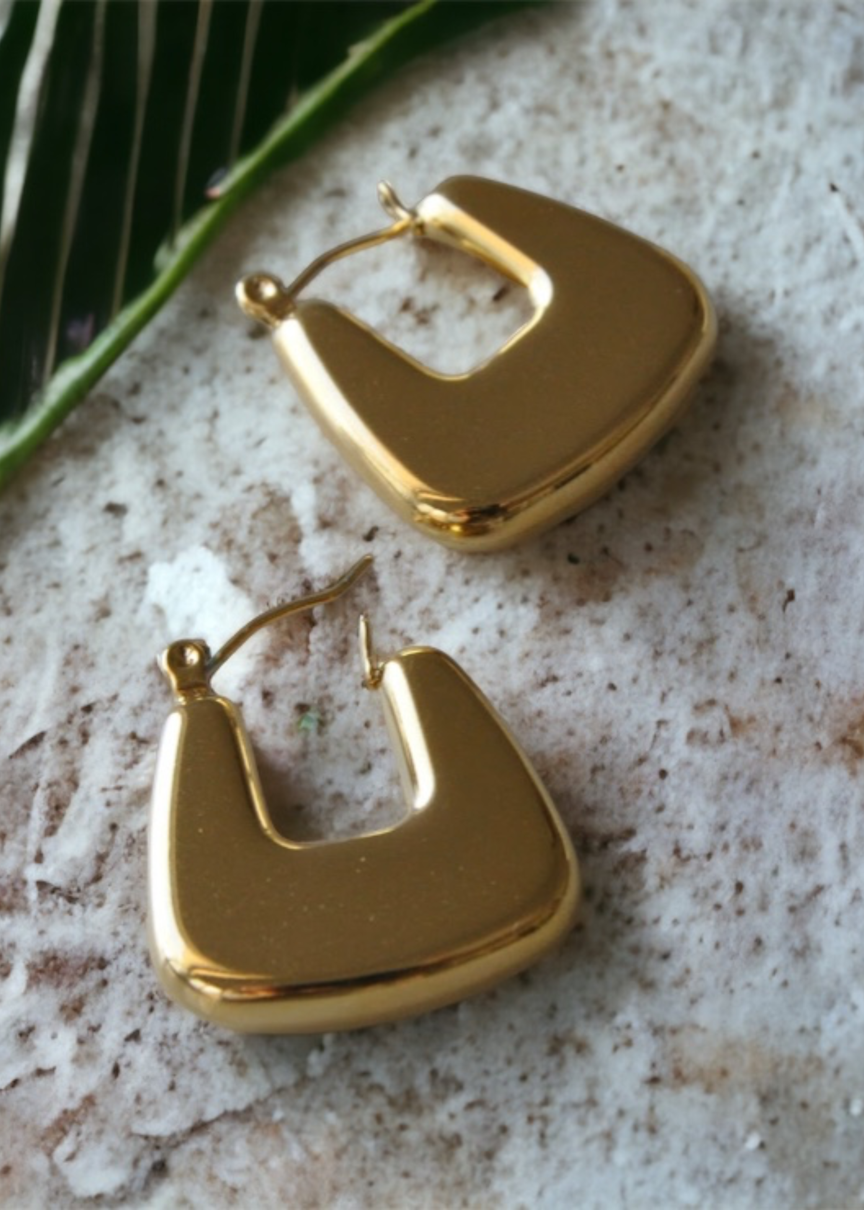 Lucia hoops