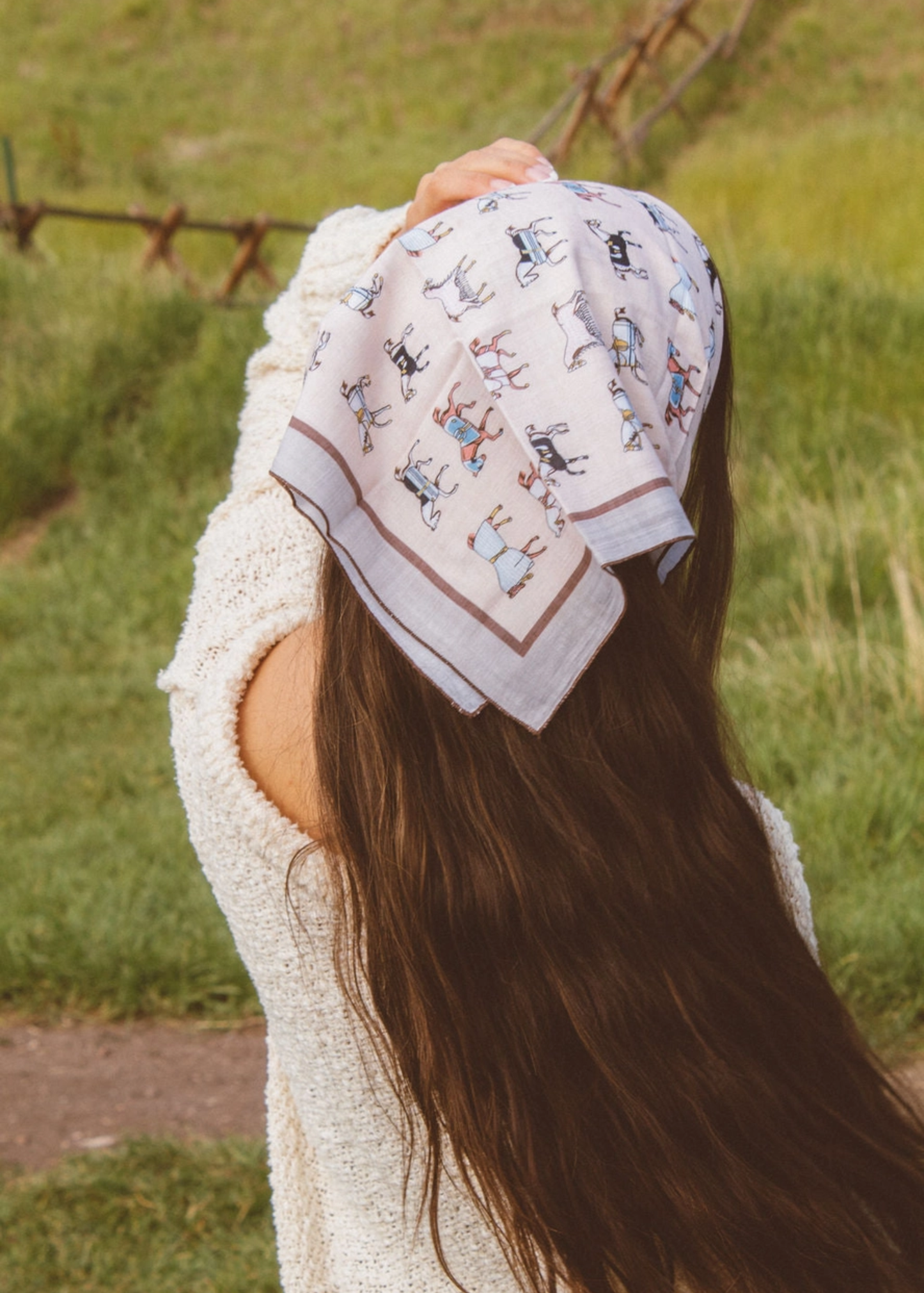 Pretty ponies bandana