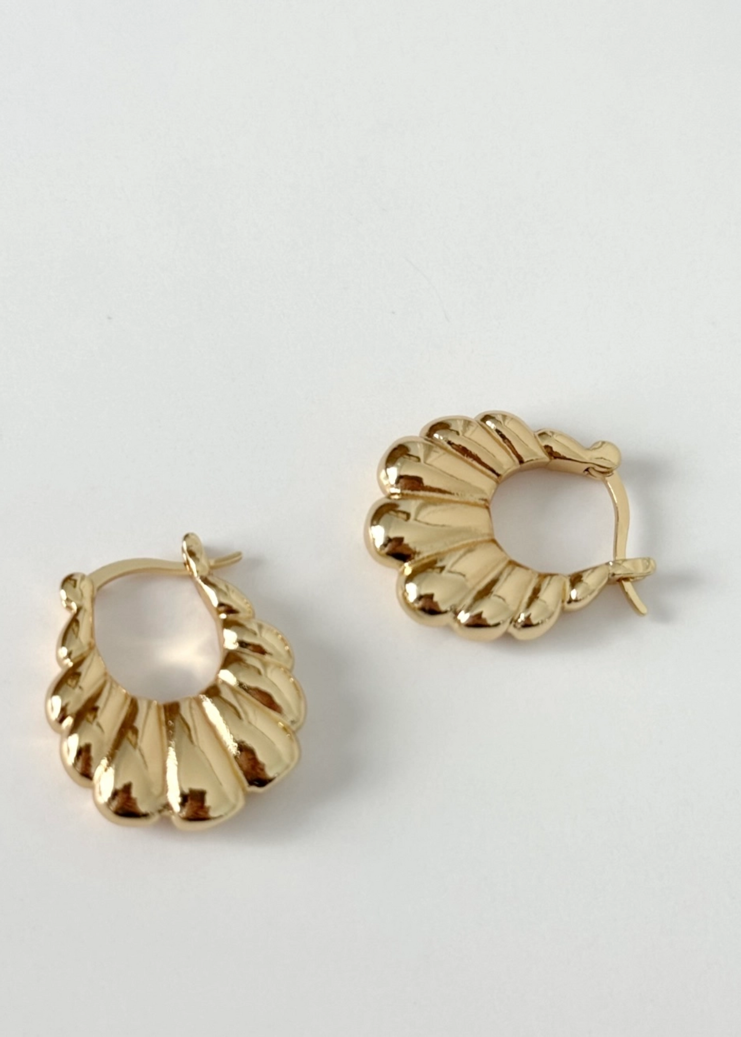 Little scallop hoops