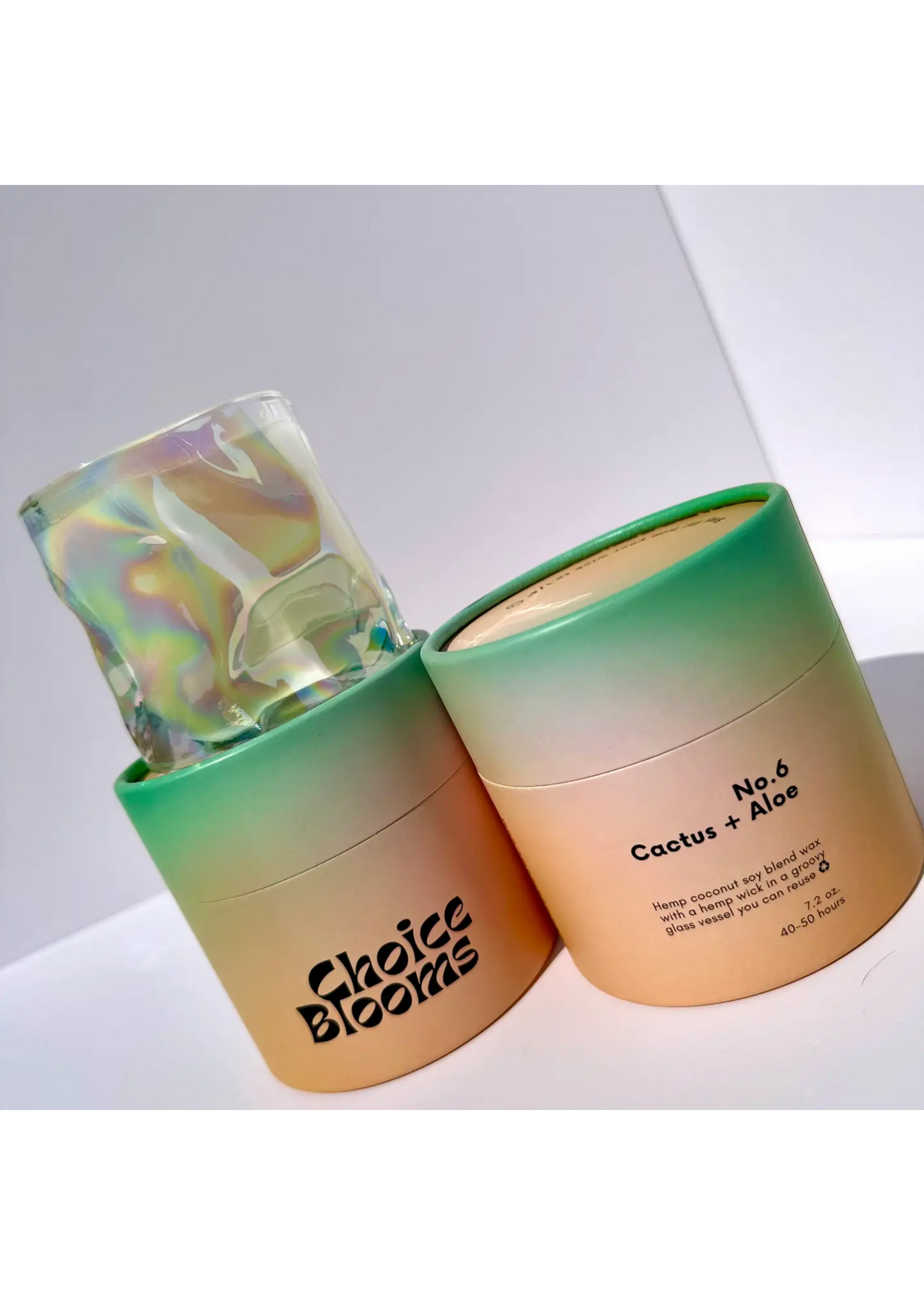 No.6 cactus and aloe candle