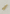 Butterfly charm, gold