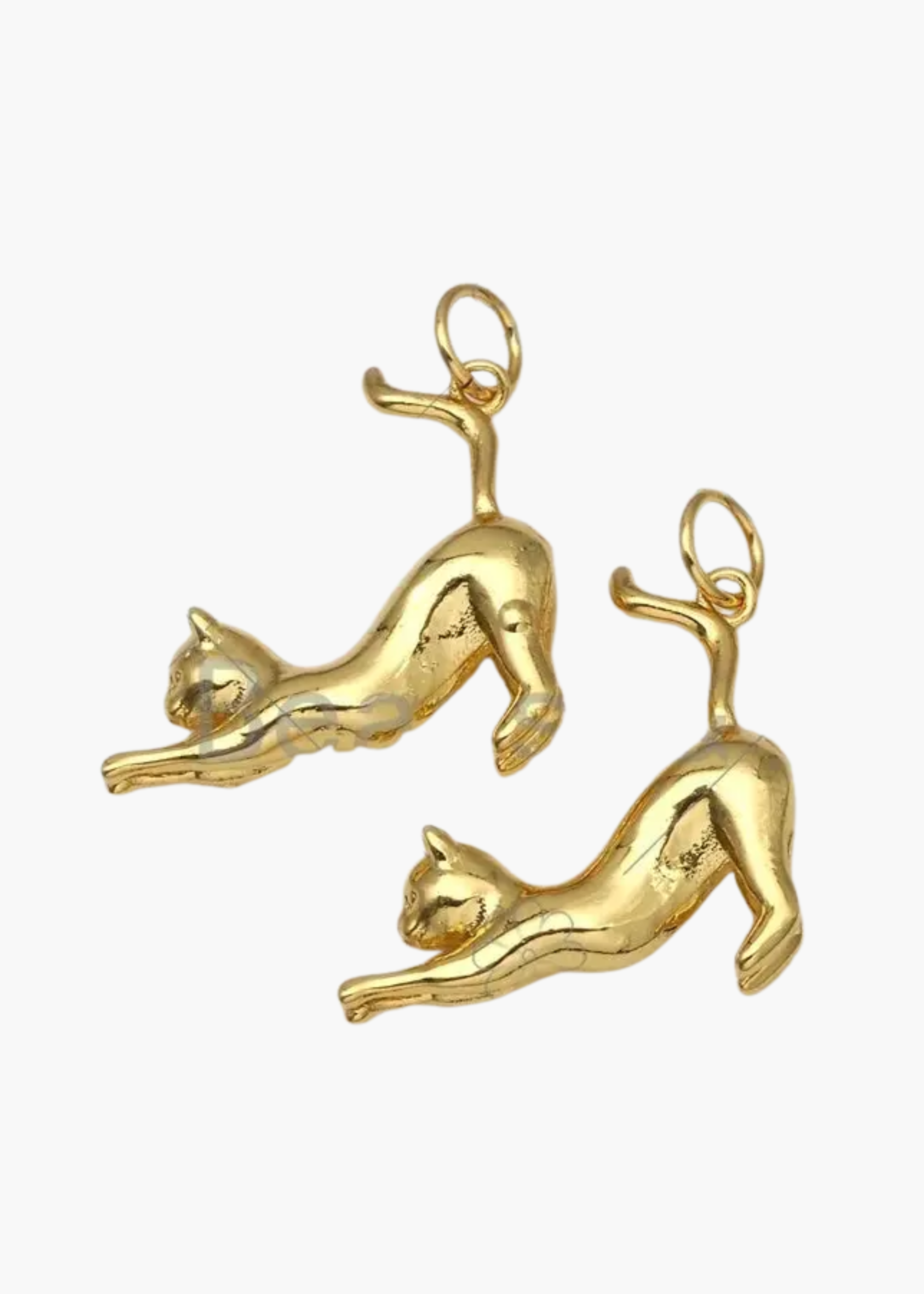 Cat charm