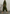 Los Angeles pants, olive
