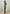 Boiler suit, green
