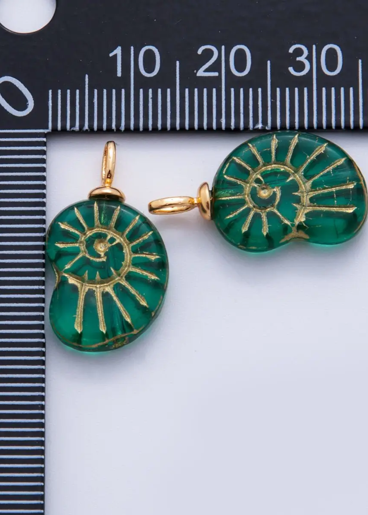 Nautilus sea shell charm