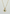 Kashmire necklace