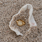 Juno ring