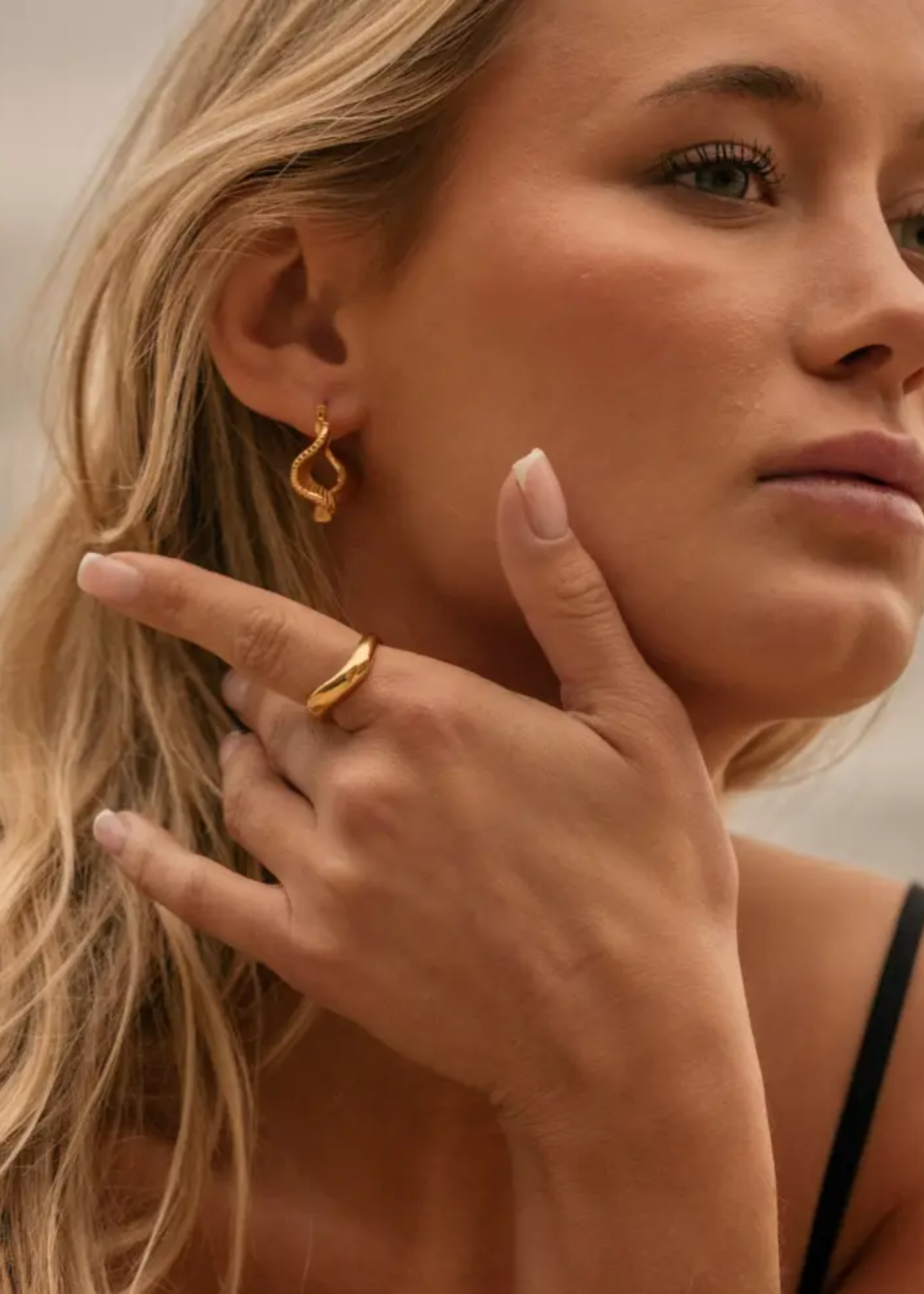 Lyra hoops