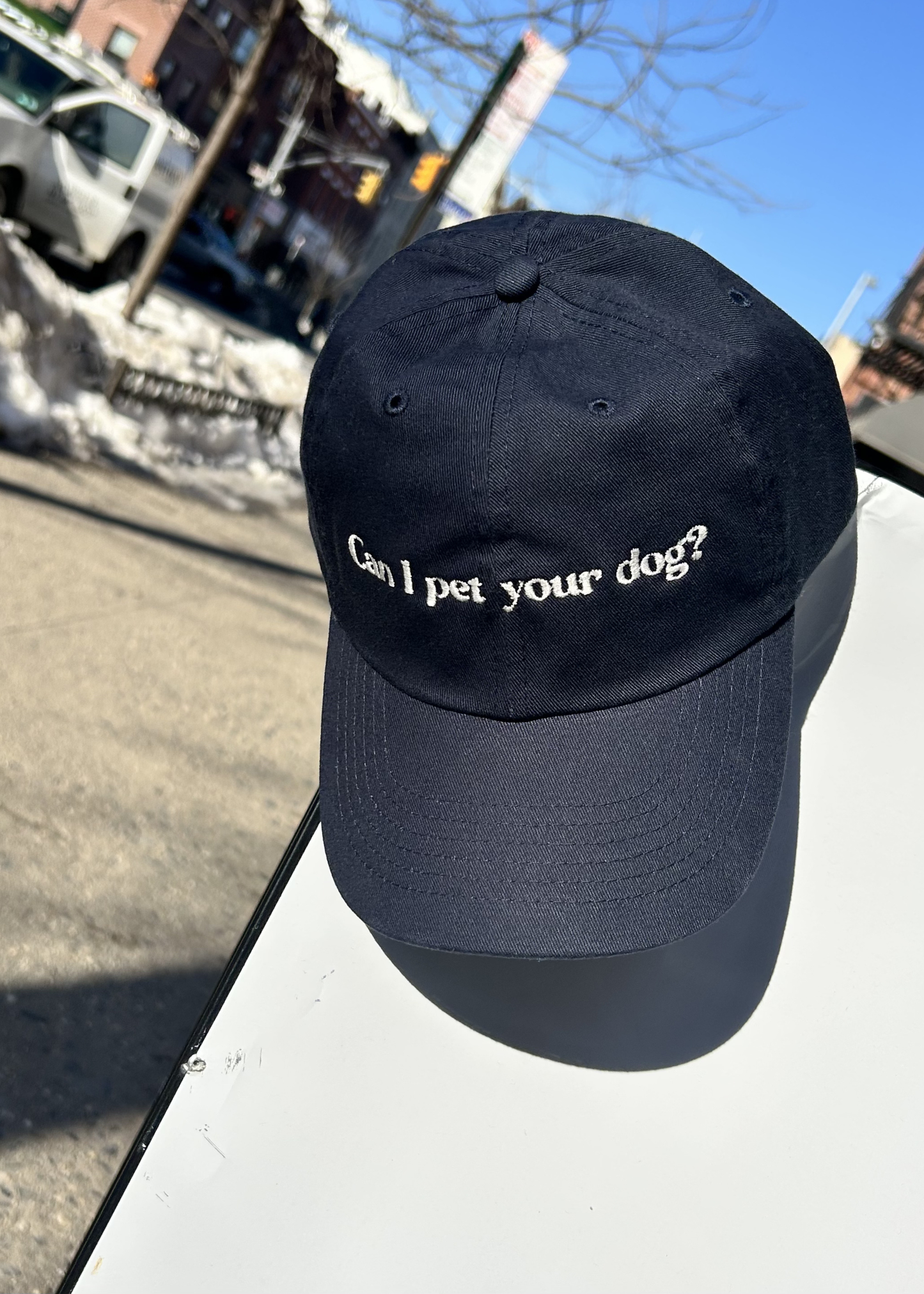 Can I pet your dog hat