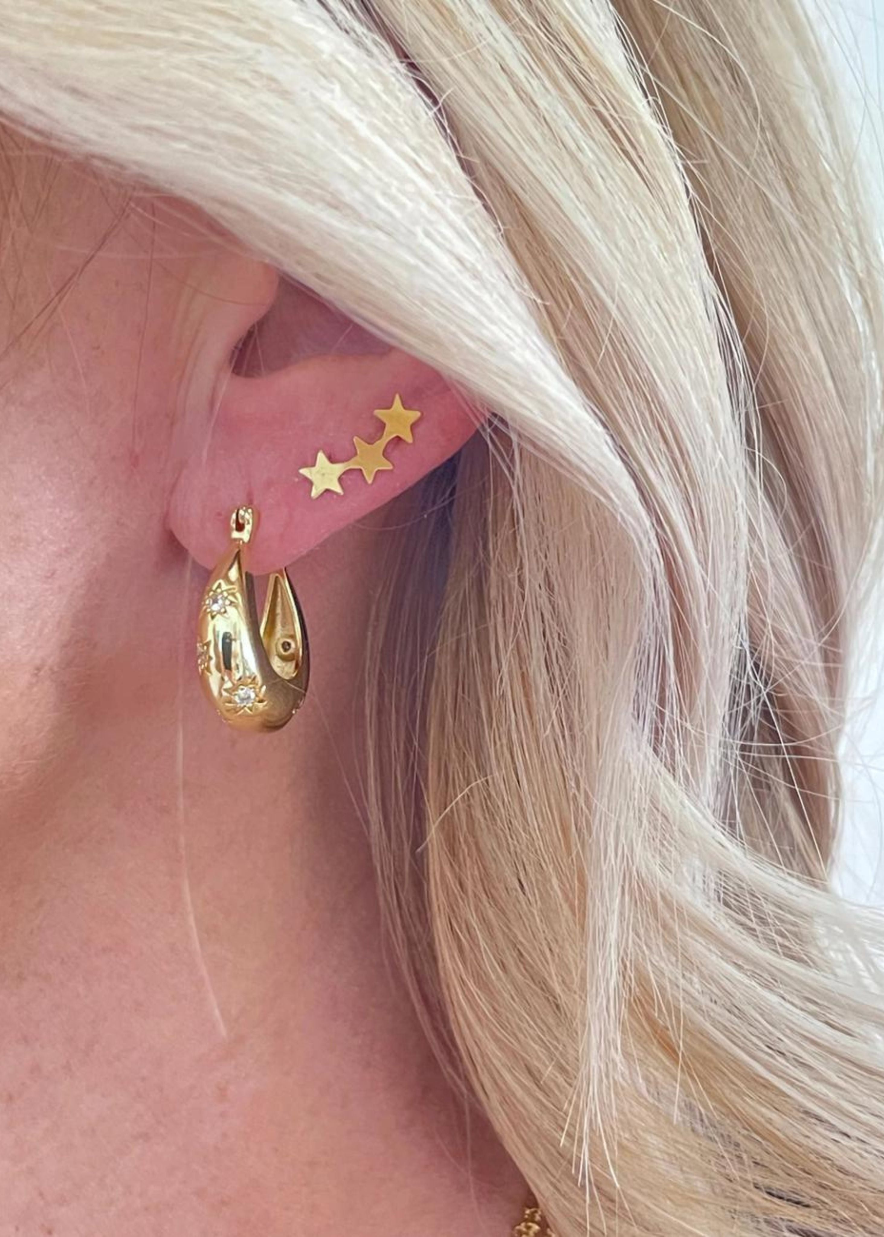 Aviva earrings