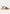 Sativa sandals, camel