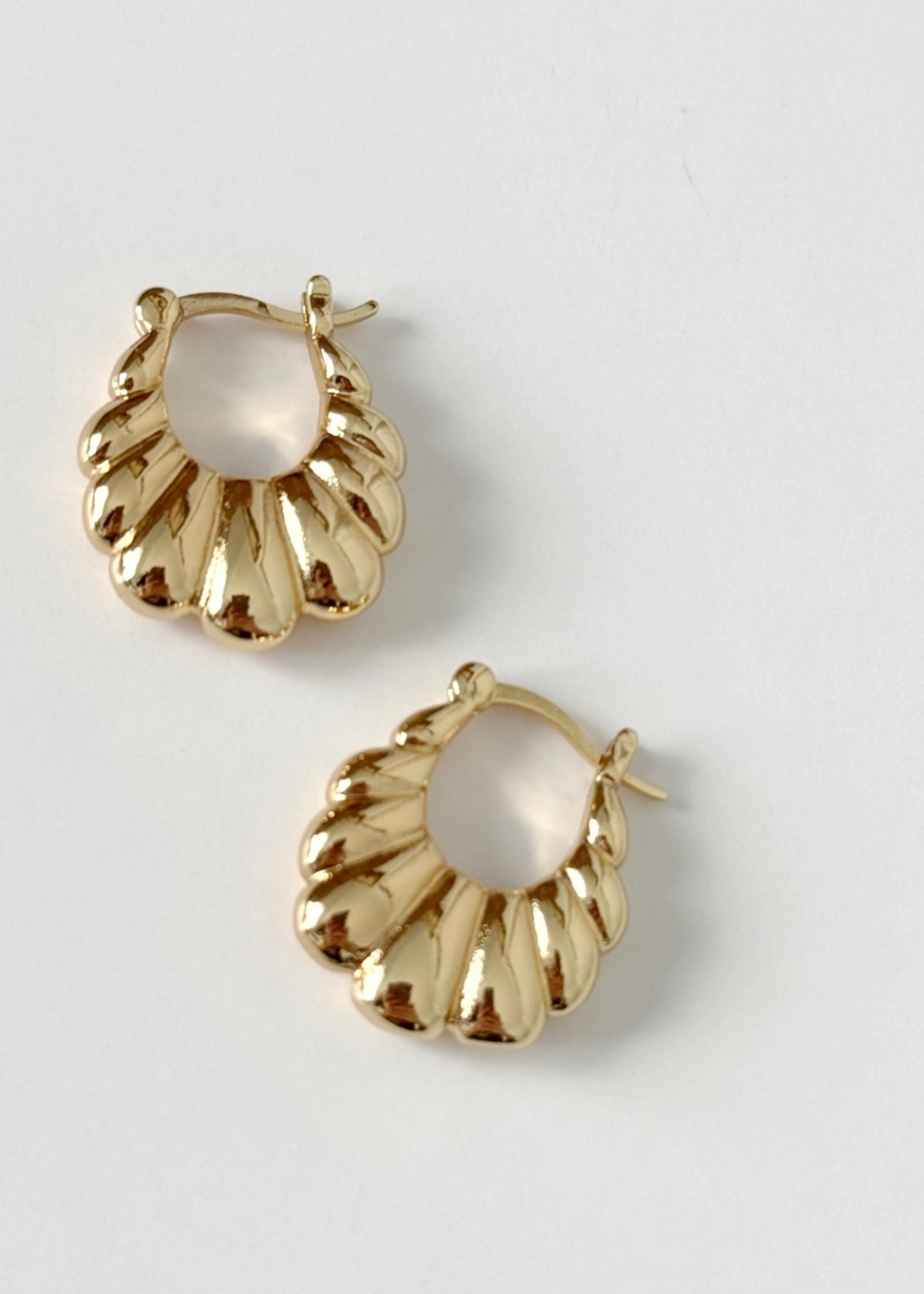Little scallop hoops