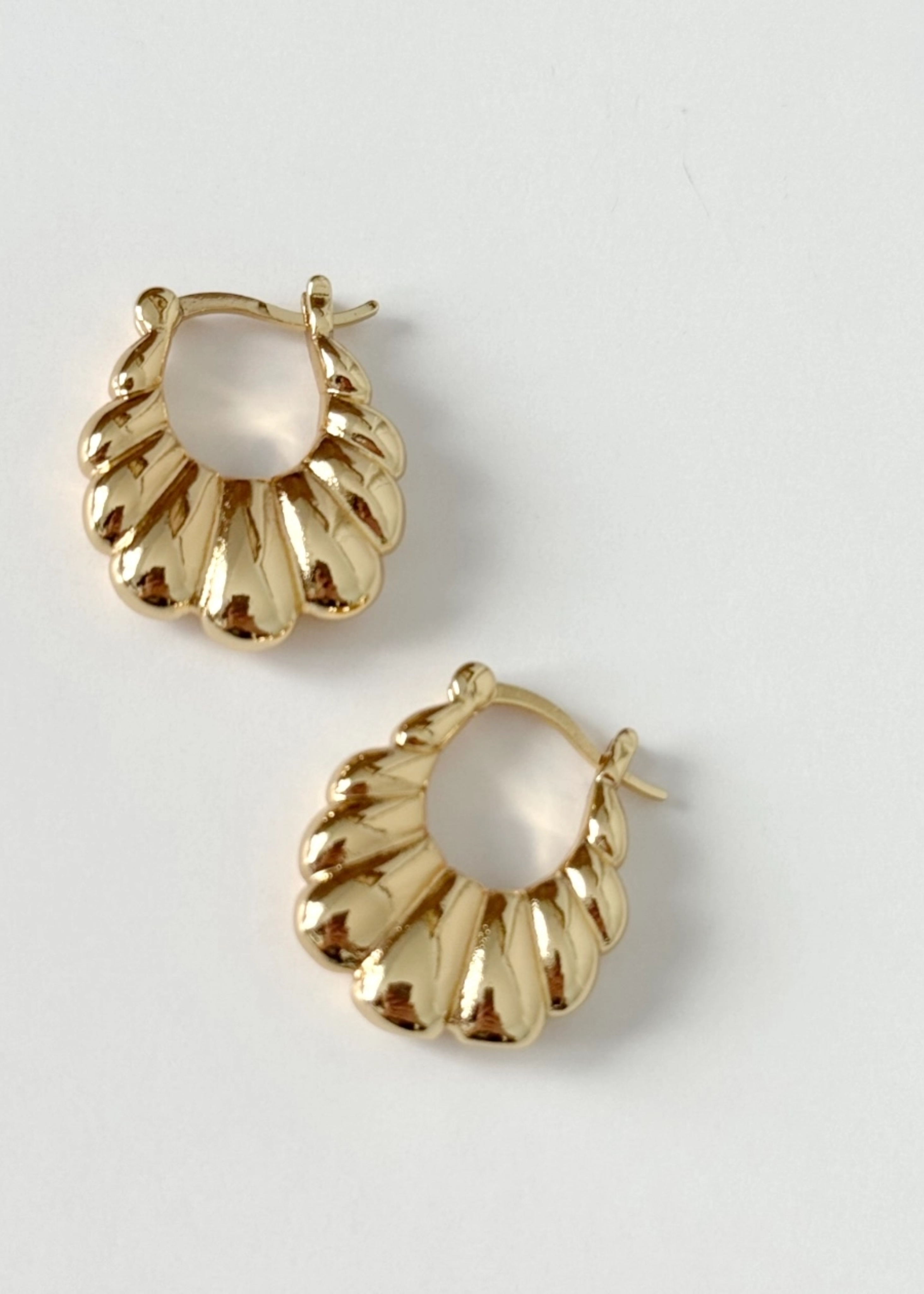 Little scallop hoops