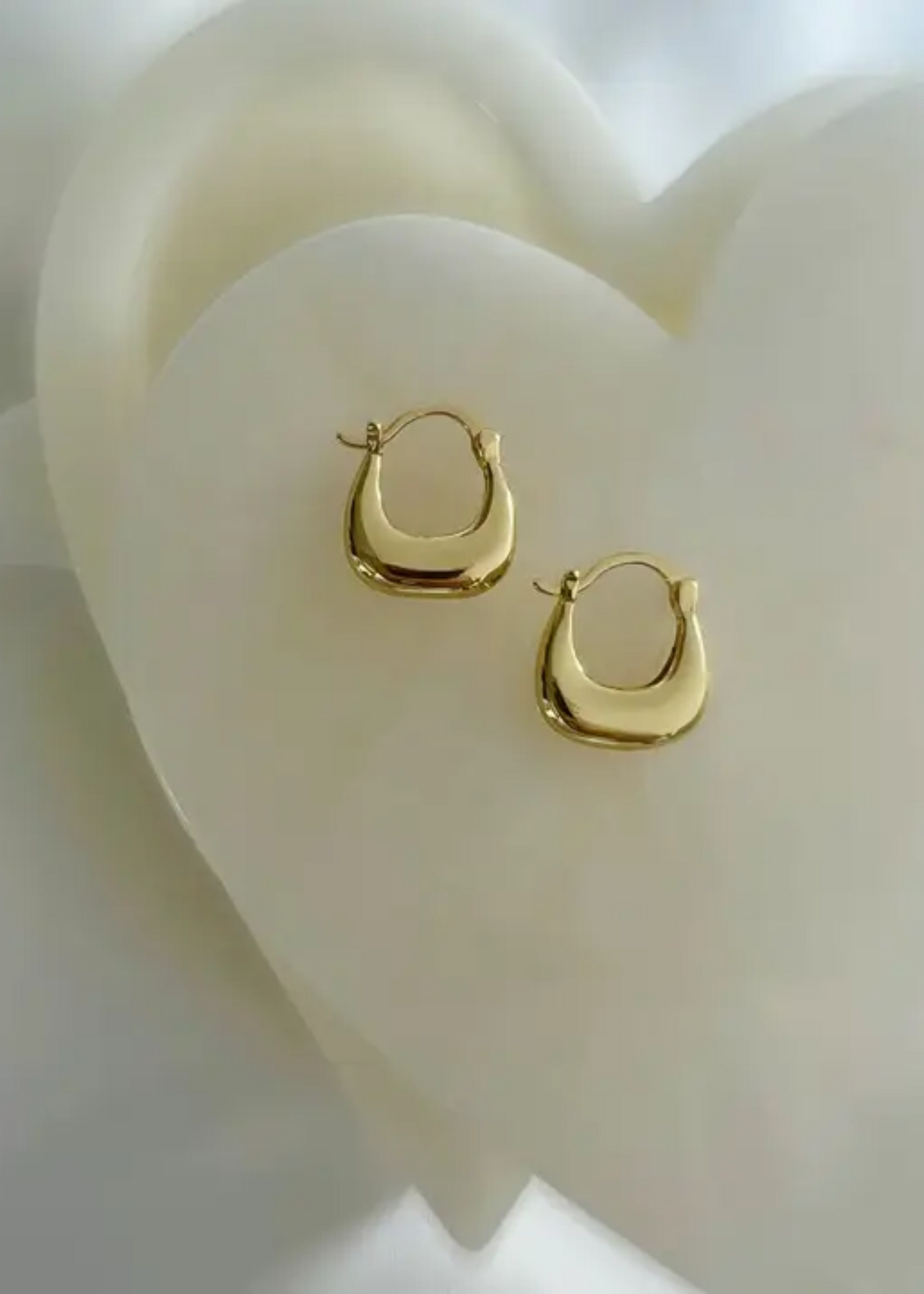 Shaina hoops