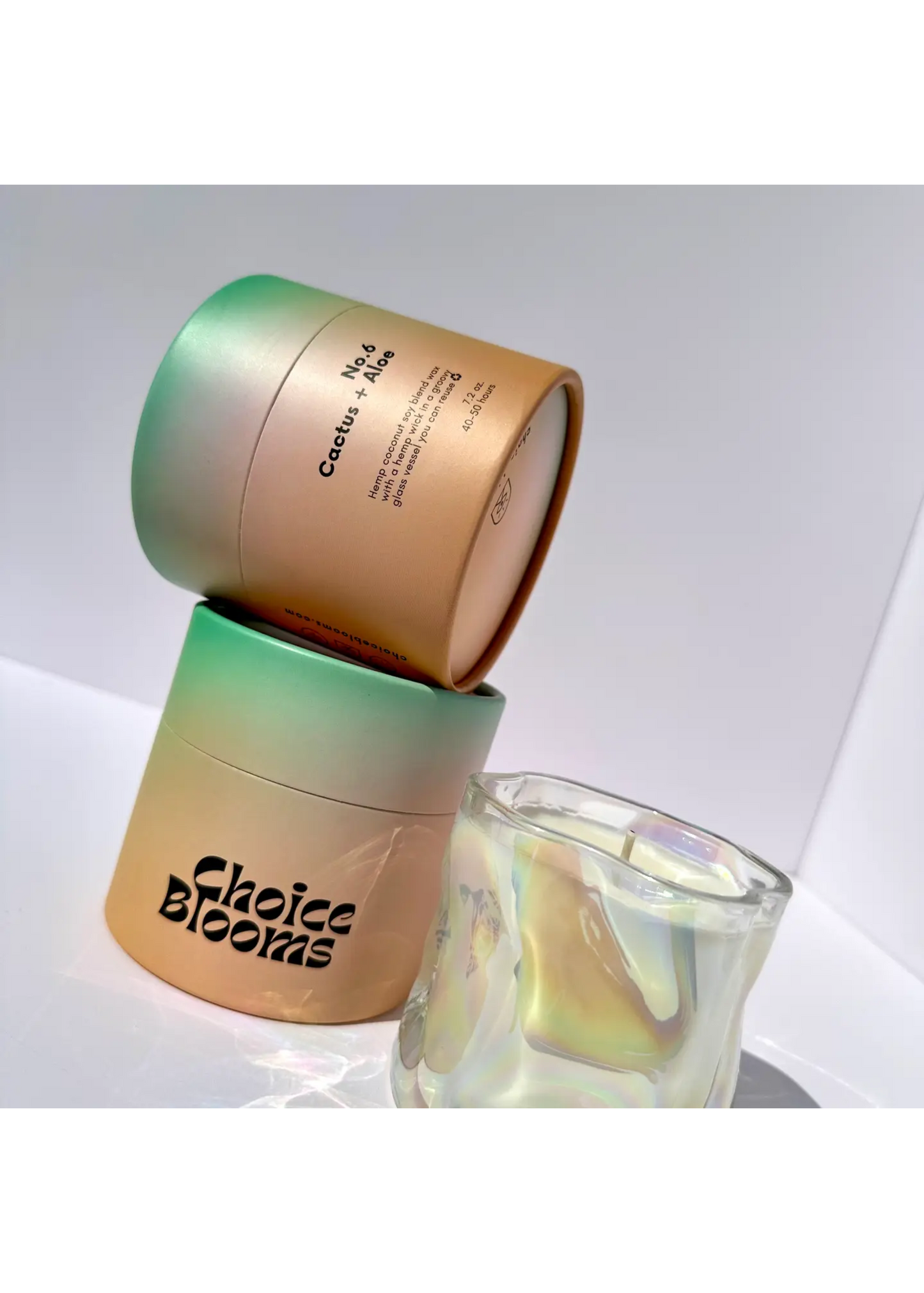 No.6 cactus and aloe candle