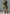 Los Angeles dress, olive