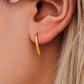 Brynn earrings