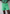 Spritz shorts, mint