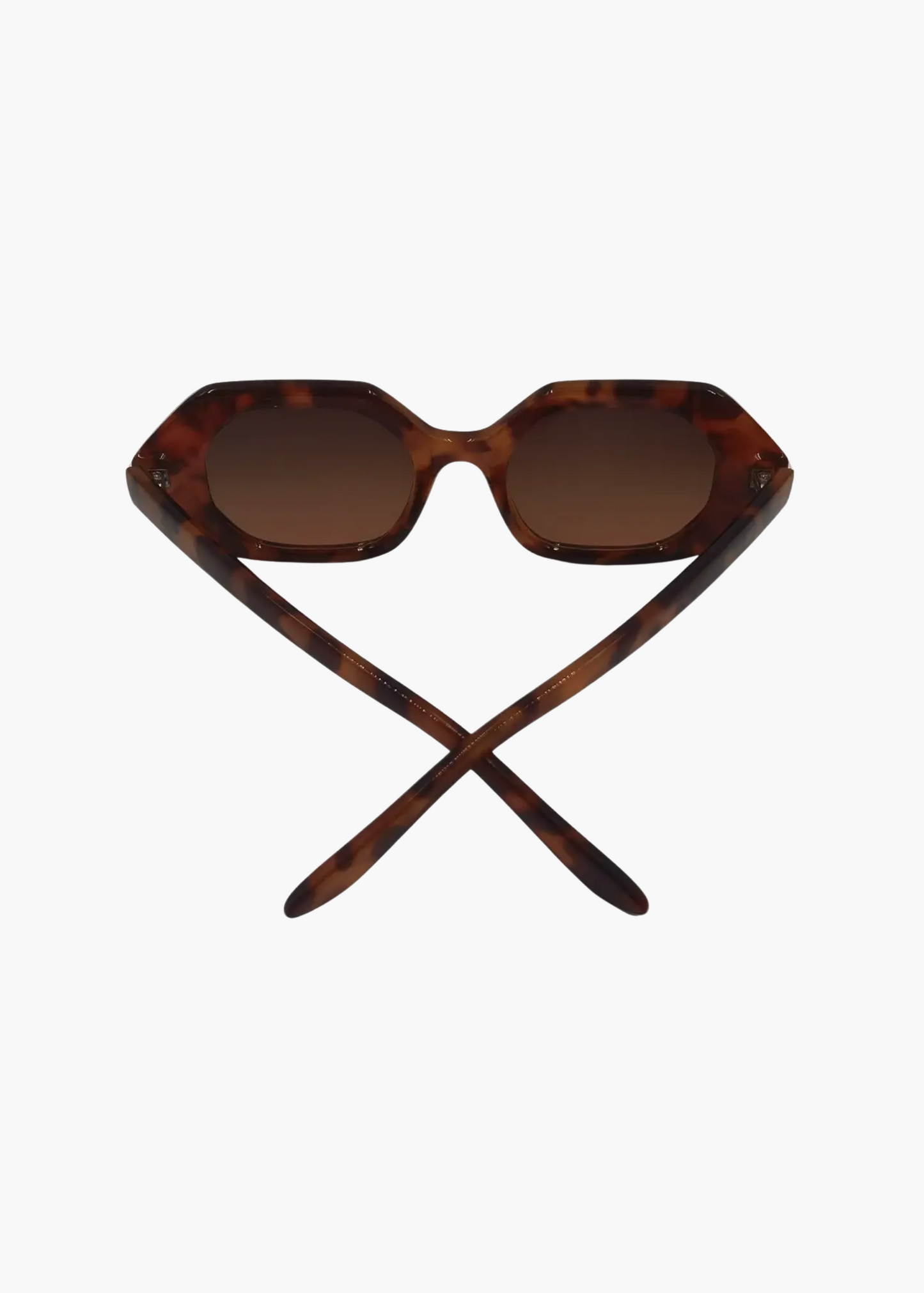 Came to win sunglasses, tortoise