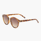 Influx sunglasses, cola tort