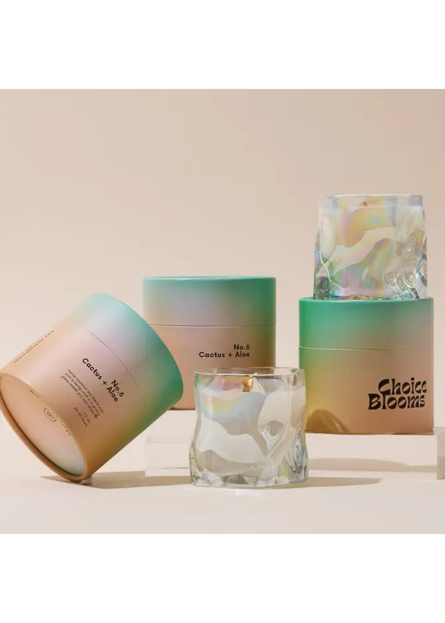 No.6 cactus and aloe candle