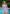 Agnescras swimsuit, pinstripe blue