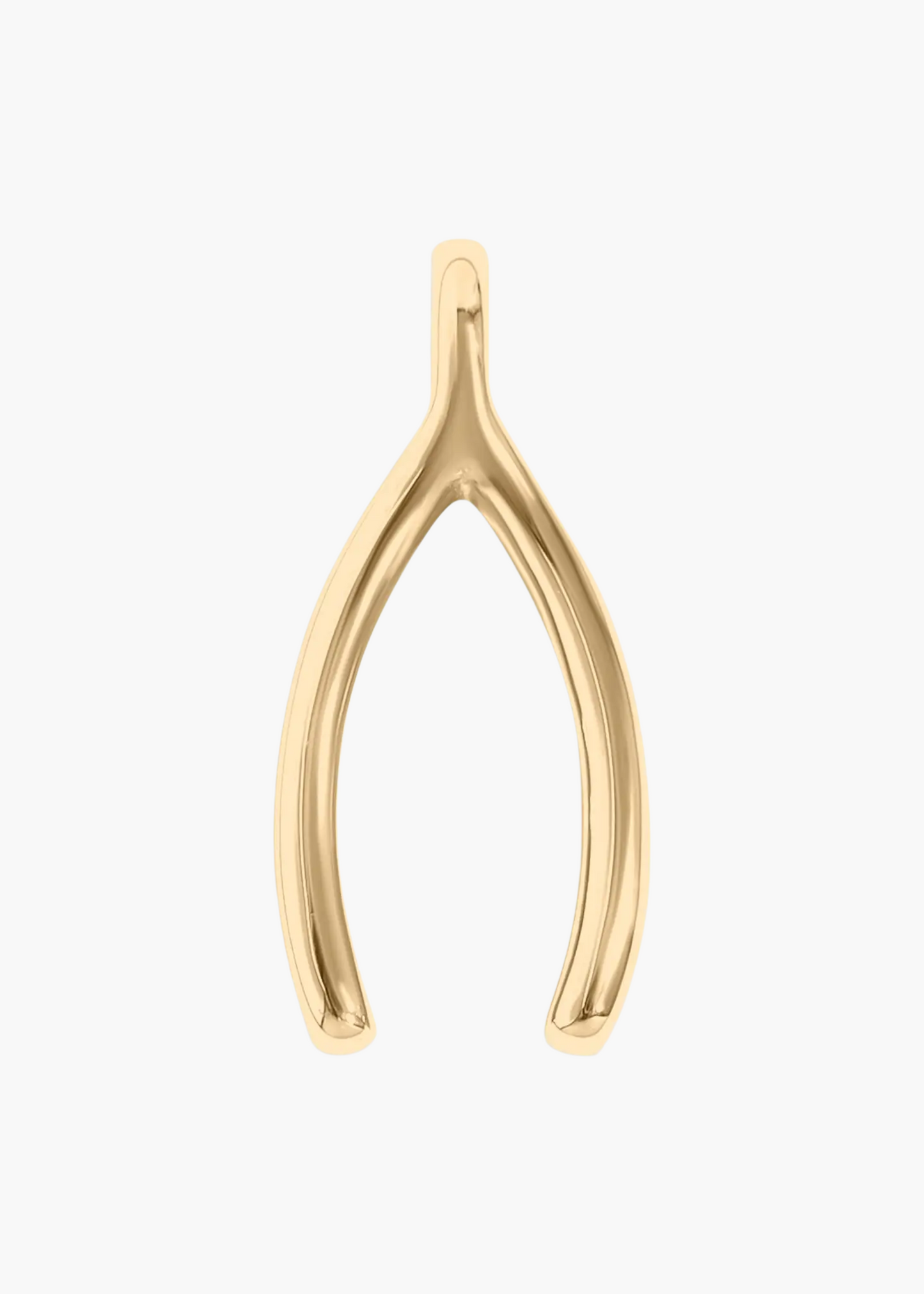 Wishbone charm