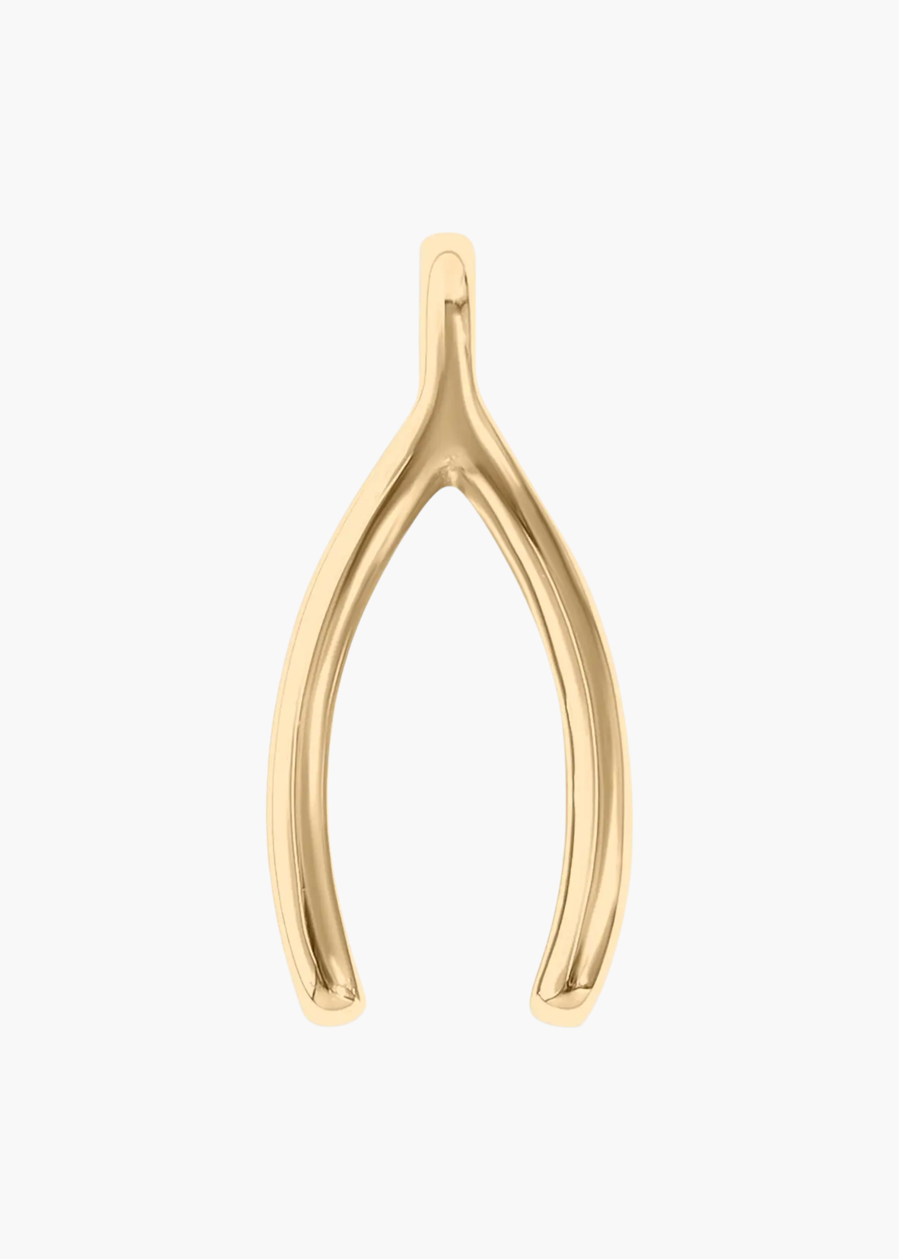 Wishbone charm