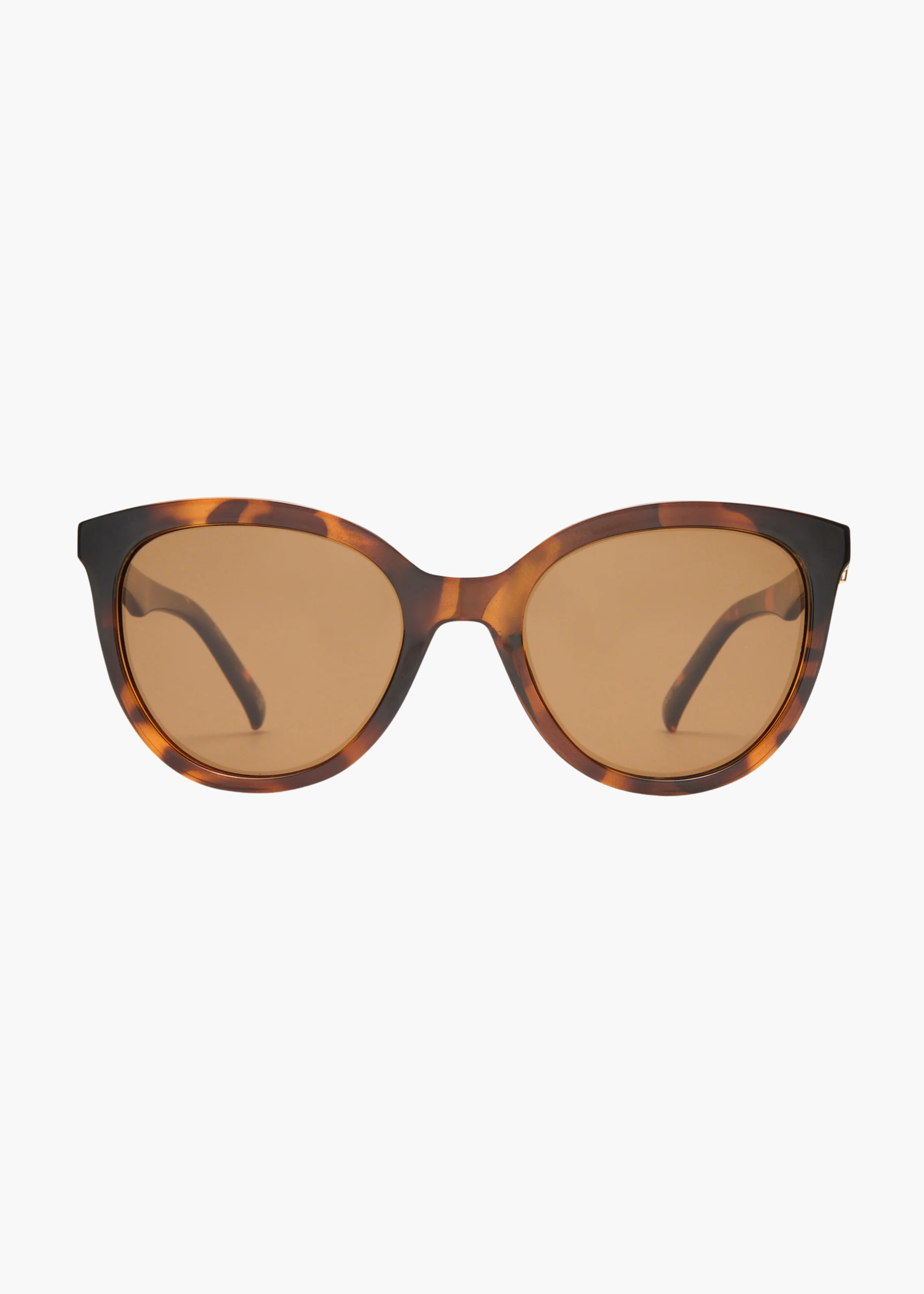 Muse sunglasses, tort