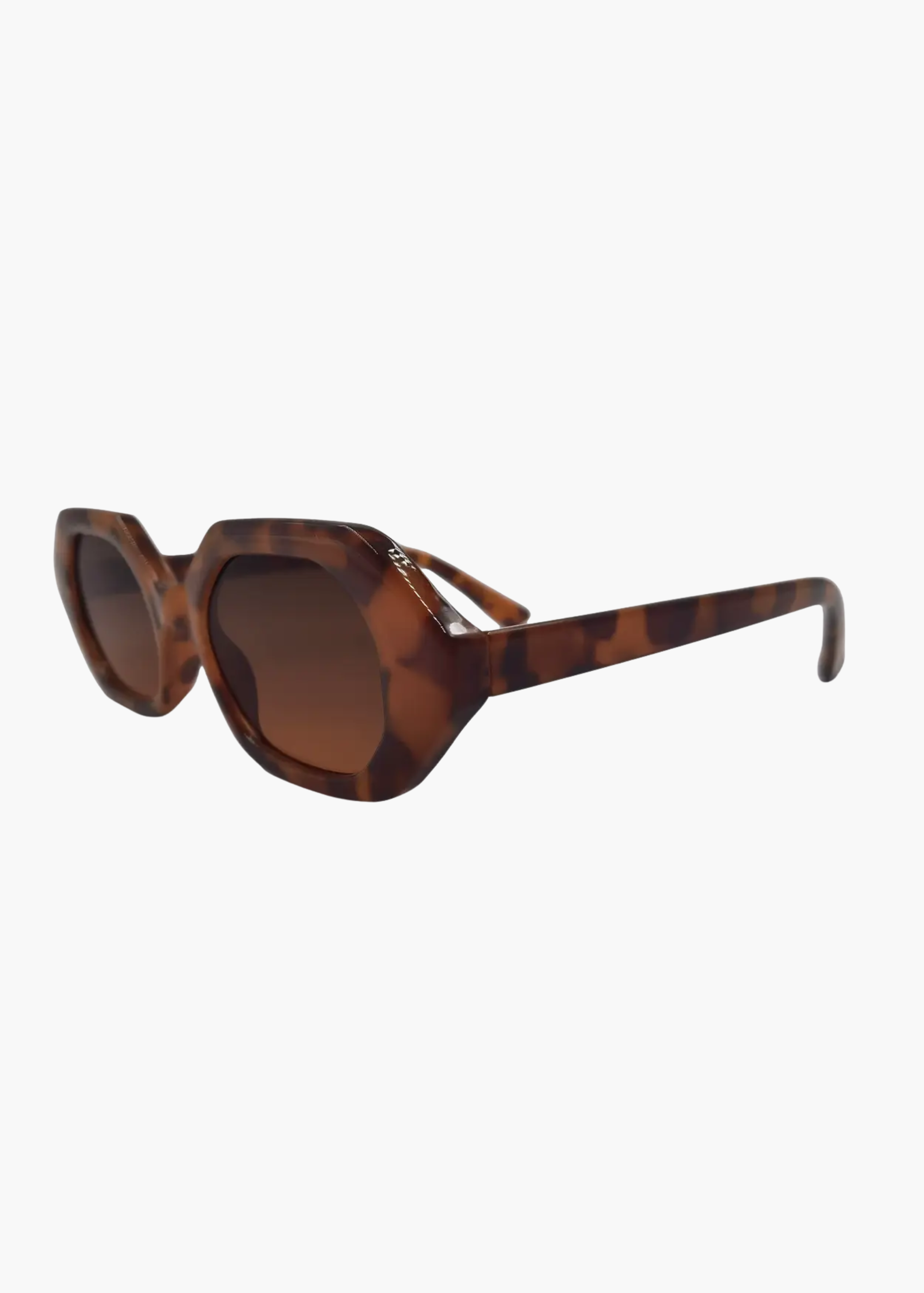 Came to win sunglasses, tortoise
